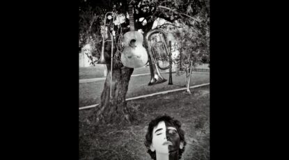 21snapshot